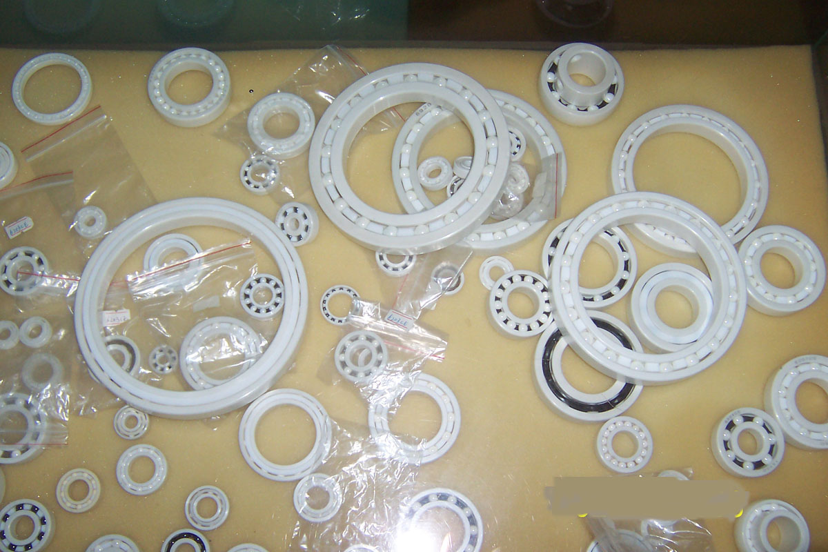 Ceramic & Plastic Bearing