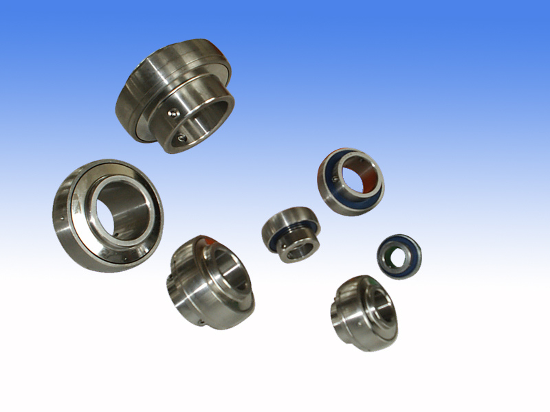 Stainless Bearing